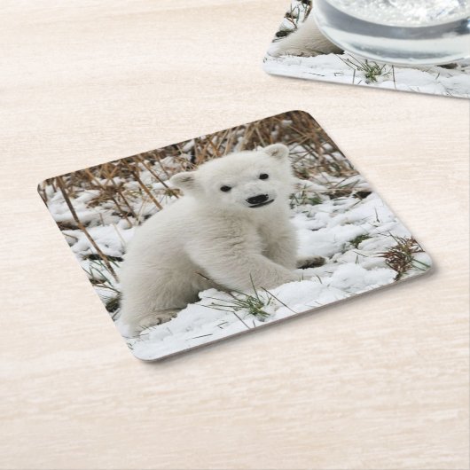 Schöner Polar Bear Cub Rechteckiger Pappuntersetzer (angewinkelt)