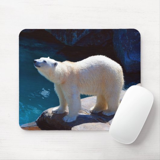 Schöner Polar Bear Mouse Pad Mousepad (Mit Mouse)