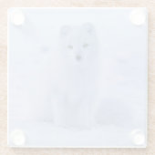 Schöner Polarktischer Fox im Schnee Glasuntersetzer (Rückseite)