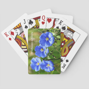 Schöner Pop der blauen Wildblumen gegen Grüngras Spielkarten