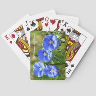 Schöner Pop der blauen Wildblumen gegen Grüngras Spielkarten