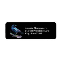 Schöner Rabe auf einem Baumzweig