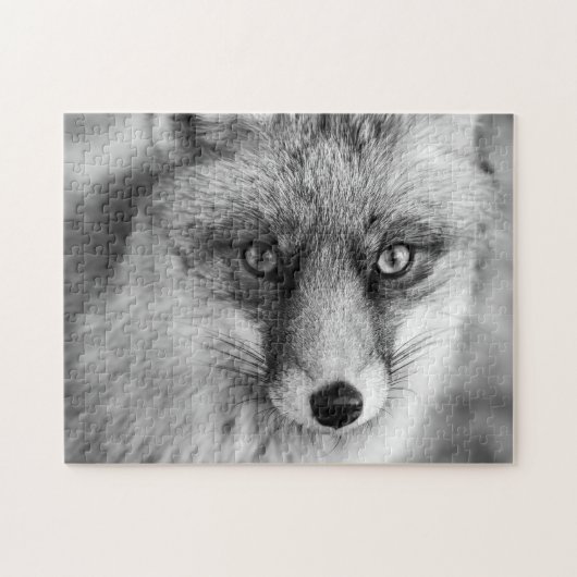 Schöner Red Fox in Schwarz & Weiß, Jigsaw Puzzle (Horizontal)