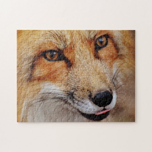 Schöner Red Fox Nah Up, Jigsaw Puzzle (Horizontal)