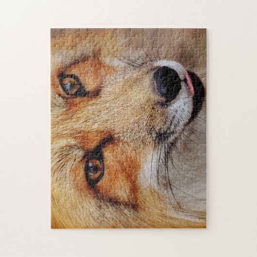 Schöner Red Fox Nah Up, Jigsaw Puzzle (Vertikal)