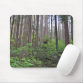 Schöner Regenwald Mousepad (Mit Mouse)