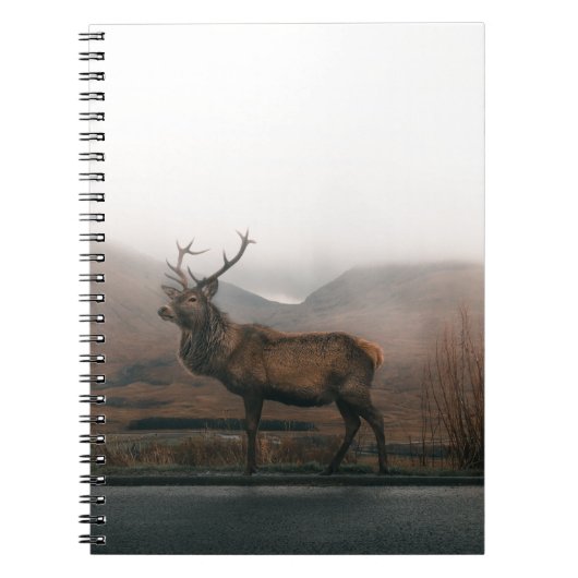 SCHÖNER REINDEER NOTIZBLOCK (Vorderseite)