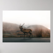SCHÖNER REINDEER POSTER (Vorne)
