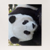 Schöner Riesenpanda, Jigsaw Puzzle (Vertikal)