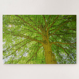 Schöner riesiger Grünbaum Puzzle