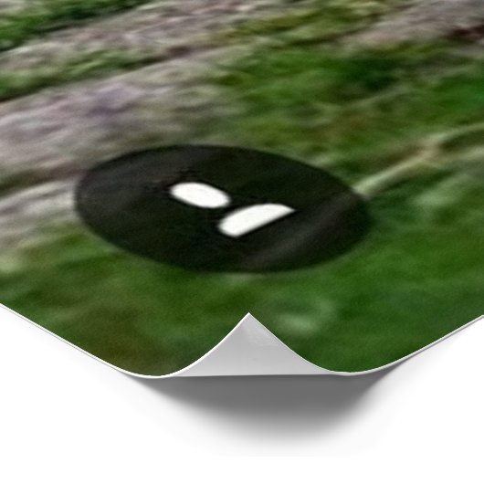 Schöner rosa Farbfedern Peacock Bird Poster (Ecke)