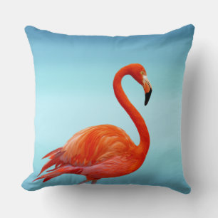 Schöner rosa Flamingo auf hell himmelblau Kissen