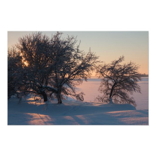 Schöner rosa Wintersonnenuntergang in Finnland CC0 Fotodruck (Vorne)