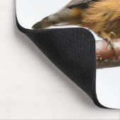 Schöner Rot-Breasted Nuthatch Songbird Mousepad (Ecke)