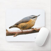 Schöner Rot-Breasted Nuthatch Songbird Mousepad (Mit Mouse)