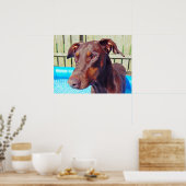 Schöner Rotdoberman Poster (Küche)