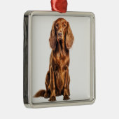 SCHÖNER ROTER IRISH SETTER DOG ORNAMENT AUS METALL (Rechts)