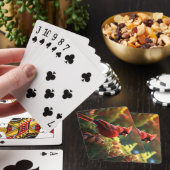 Schöner Roter Kardinal auf einer Baumzweigung Spielkarten (In Situ)
