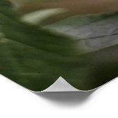 Schöner Roter Kardinal Bird in Tree Poster (Ecke)