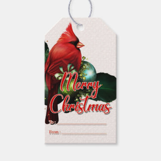 Schöner Roter Kardinal Frohe Weihnachtsgeschenke T Geschenkanhänger