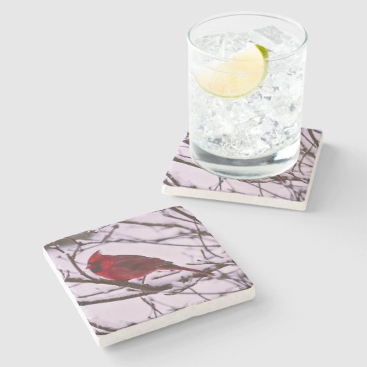 Schöner Roter Kardinal in einem schneebedeckten Ba Steinuntersetzer (Seitenansicht)