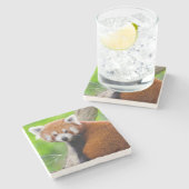 Schöner Roter Panda (Ailurus fulgens) Steinuntersetzer (Seitenansicht)