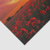 Schöner roter seidenpapier (Ausschnitt)