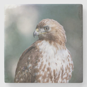 Schöner Rotschwanz-Hawk-Portrait-Stone-Untersetzer Steinuntersetzer