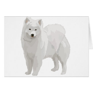 Schöner Samoyed
