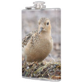 Schöner Sandpferd am Strand Flachmann (Links)