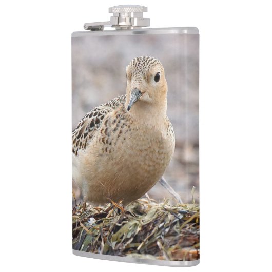 Schöner Sandpferd am Strand Flachmann (Links)