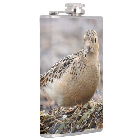 Schöner Sandpferd am Strand Flachmann (Rechts)