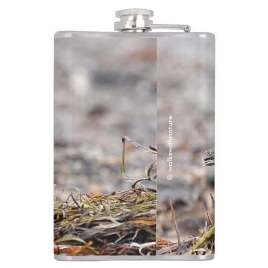 Schöner Sandpferd am Strand Flachmann (Rückseite)