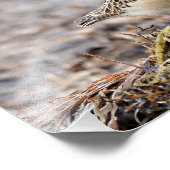 Schöner Sandpferd am Strand Fotodruck (Ecke)