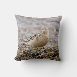 Schöner Sandpferd am Strand Kissen