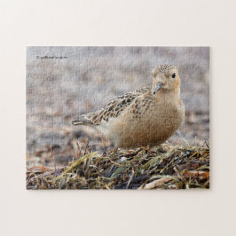 Schöner Sandpferd am Strand Puzzle