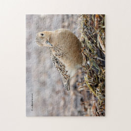 Schöner Sandpferd am Strand Puzzle