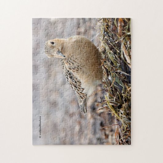 Schöner Sandpferd am Strand Puzzle (Vertikal)