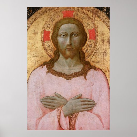 SCHÖNER SAVIER POSTER (Vorne)