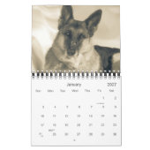 Schöner Schäferhund-Hundekalender Kalender (Jan 2027)