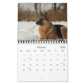 Schöner Schäferhund-Hundekalender Kalender (Feb 2026)