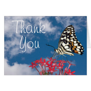 Schöner Schmetterling