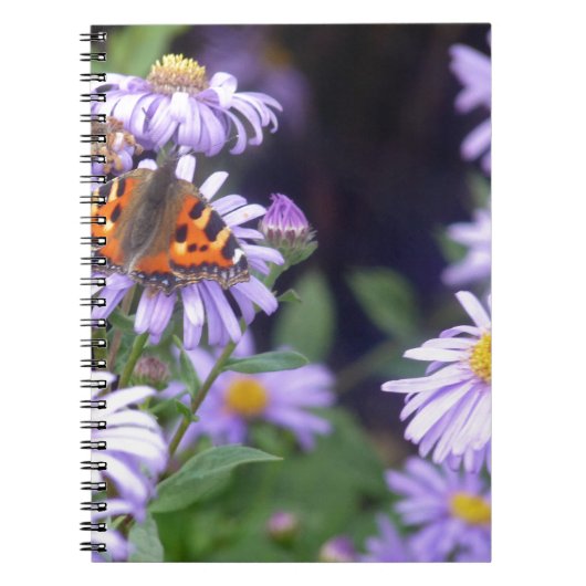 Schöner Schmetterling auf Blume Notizblock (Vorderseite)
