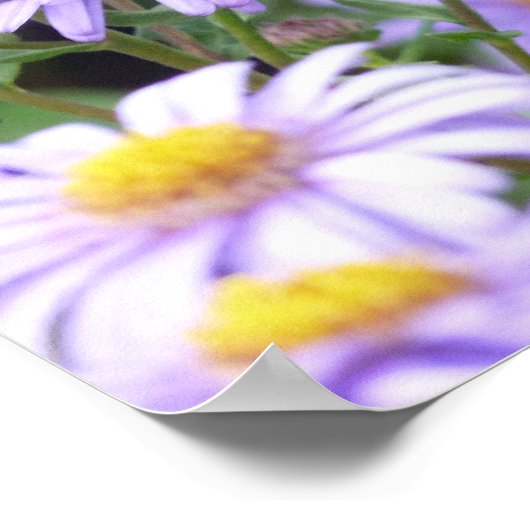 Schöner Schmetterling auf Blume Poster (Ecke)