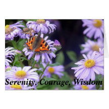 Schöner Schmetterling auf Blume Ruhe