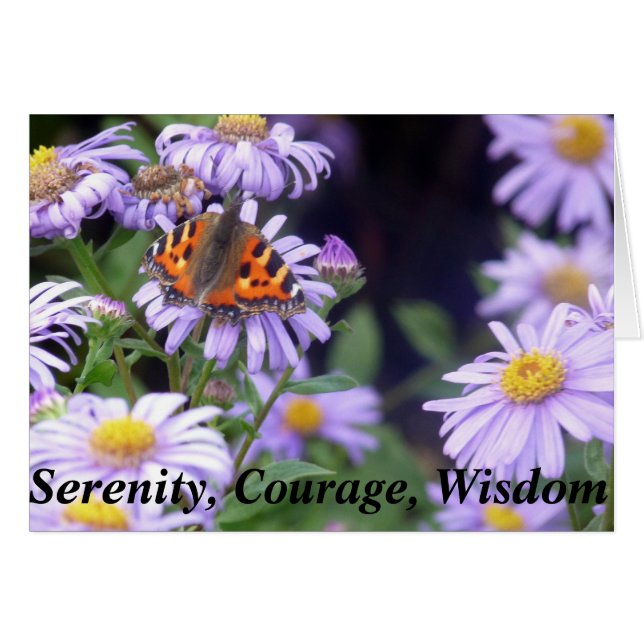 Schöner Schmetterling auf Blume Ruhe (Vorderseite (Horizontal))