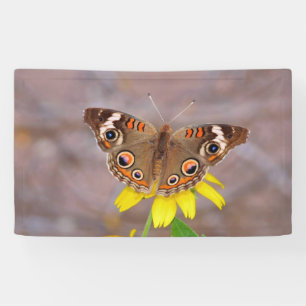Schöner Schmetterling auf der Gelben Blume Banner
