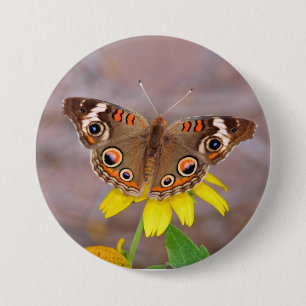 Schöner Schmetterling auf der Gelben Blume Button