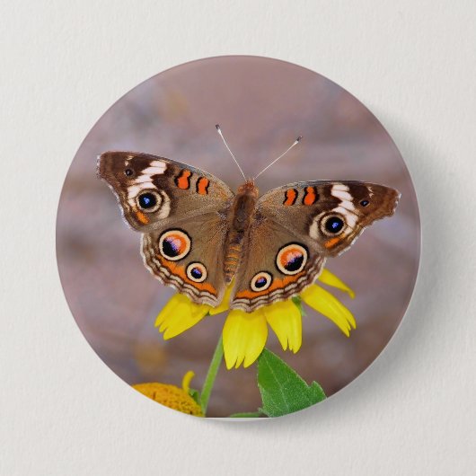 Schöner Schmetterling auf der Gelben Blume Button (Vorderseite)