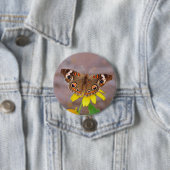 Schöner Schmetterling auf der Gelben Blume Button (Beispiel)